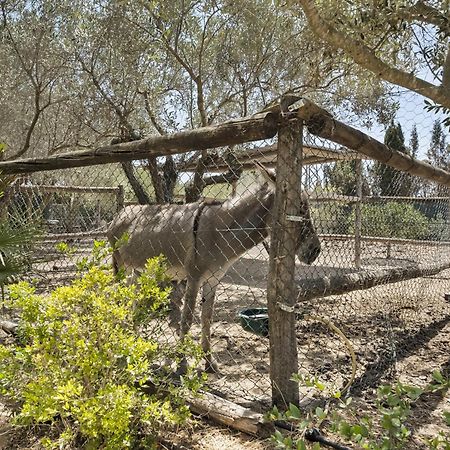 فيلا Cambiardeaires Rural Piedra بيلار ذي لا أوراذاذا المظهر الخارجي الصورة